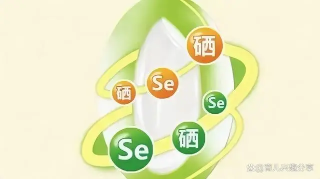 补硒的食物应该吃什么