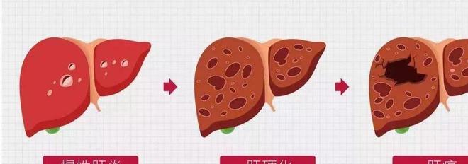 人体需要补硒吗为什么