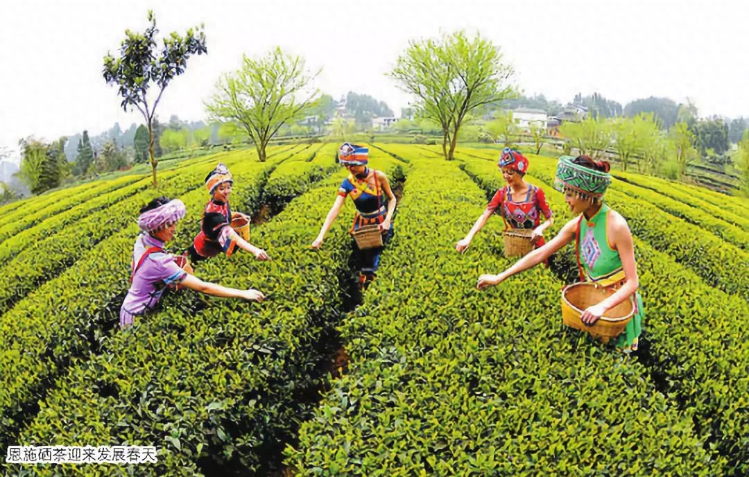 女人补硒吃什么药好呢