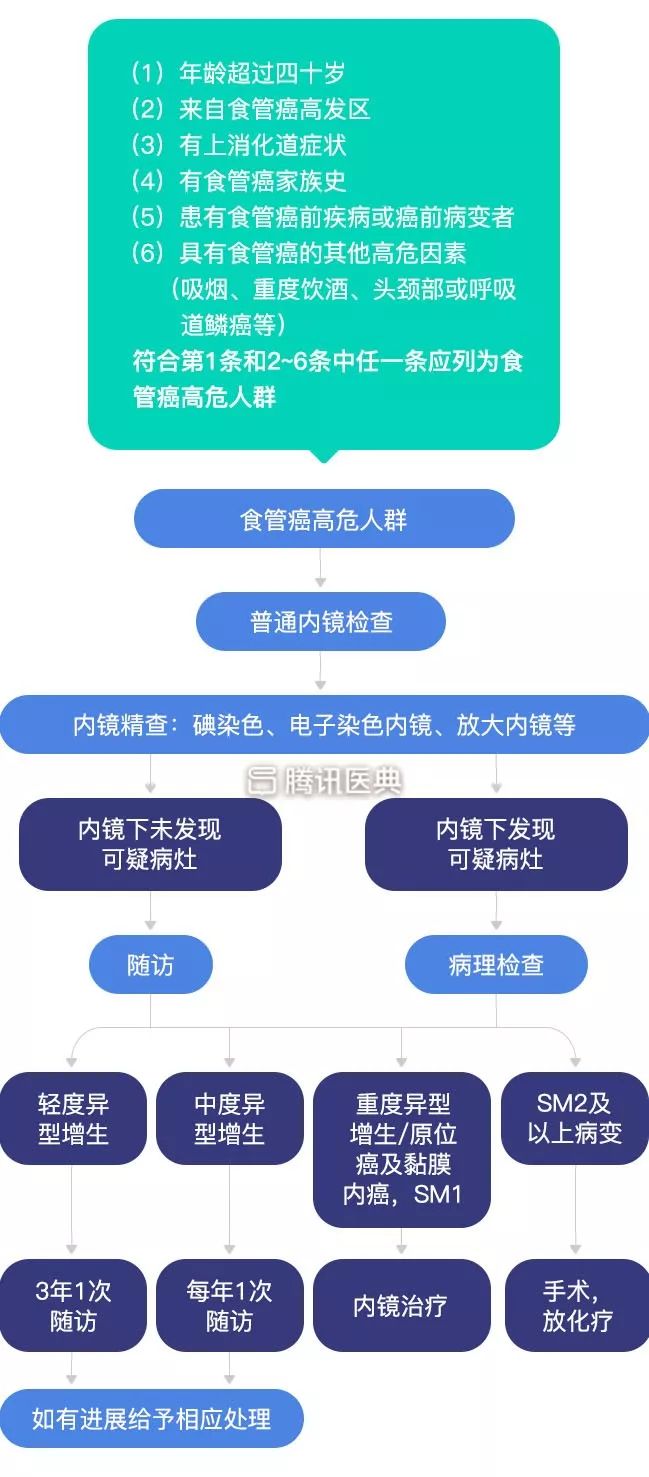 33791647043320268