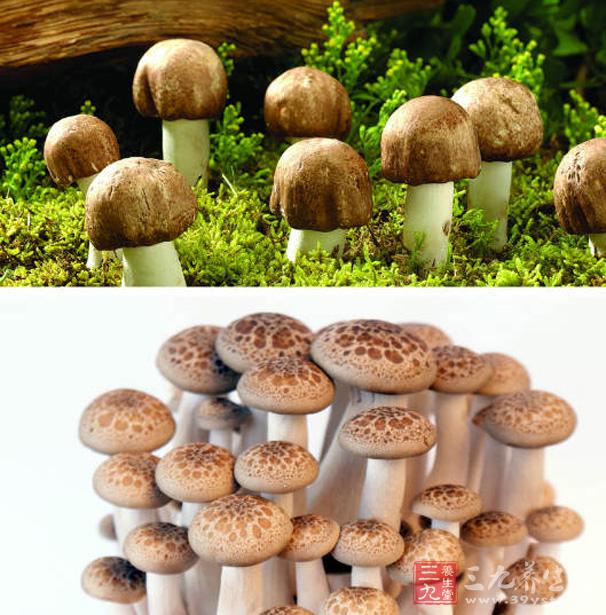 儿童补硒吃什么食物好