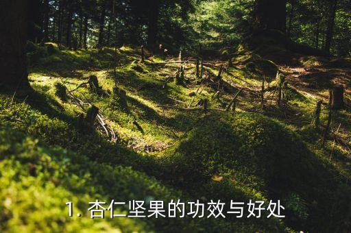 1. 杏仁坚果的功效与好处