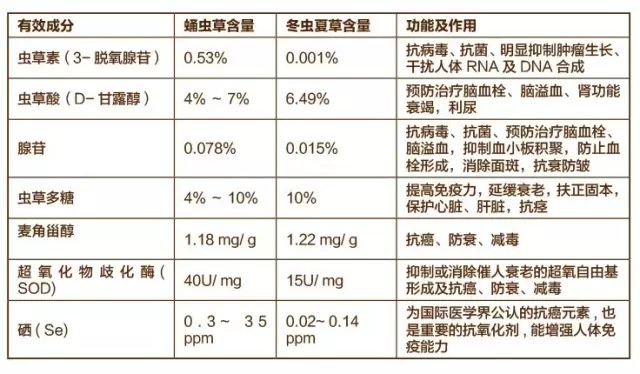 补肺吃哪种硒效果好些