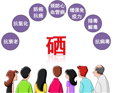 补硒可以通经络吗孕妇