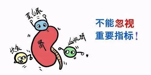 补硒对肾脏有什么好处