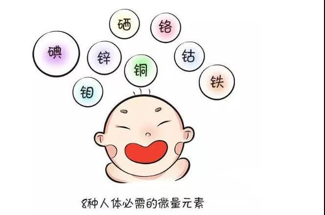 每天要补多少锌硒合适