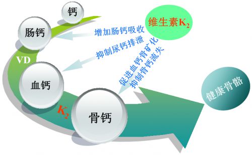补硒对结石有什么作用
