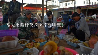 常见蘑菇种类及图片有哪些？