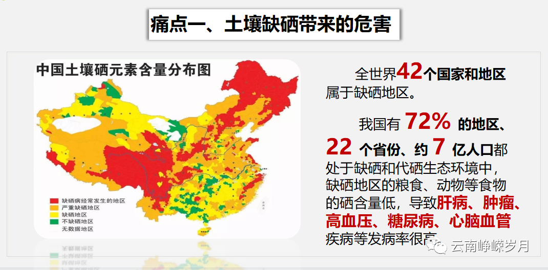 补锌和补硒用什么方法