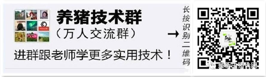 仔猪几天打补硒针最好