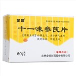 十一味参芪片
