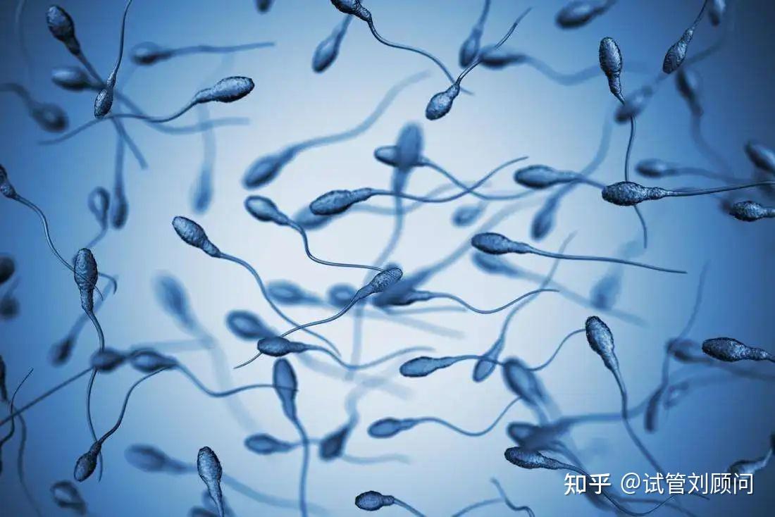 备孕男士如何补硒最好
