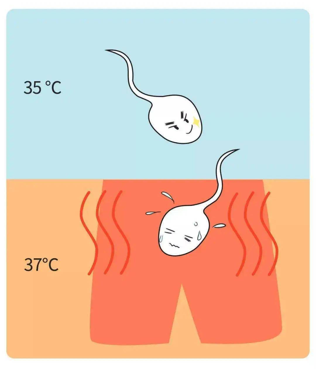备孕男士如何补硒最好