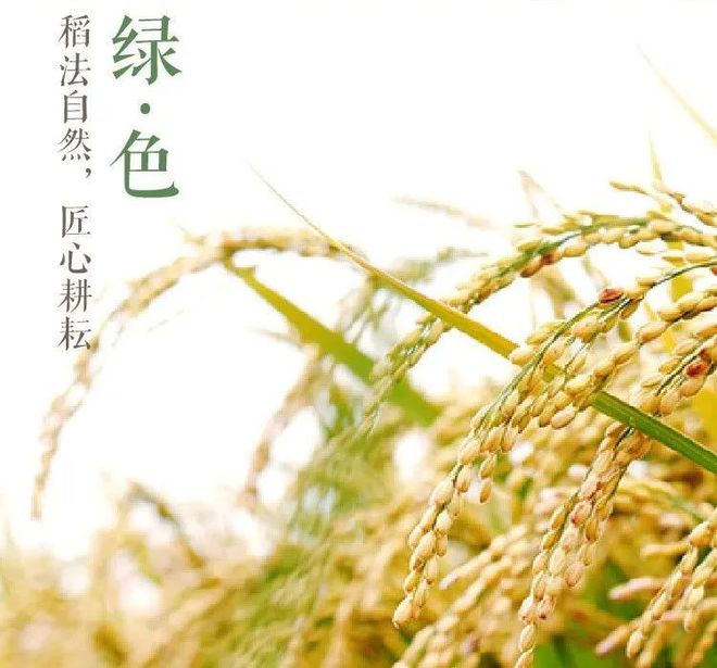 要像抓补碘一样抓补硒