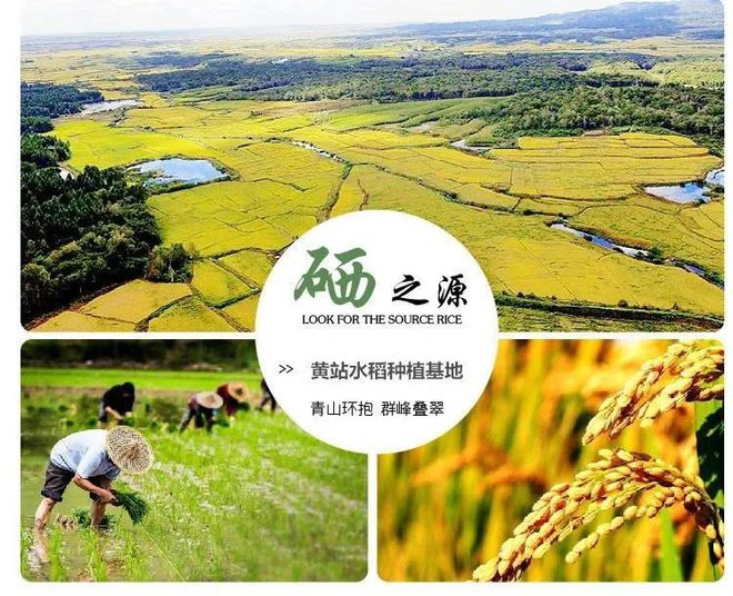要像抓补碘一样抓补硒