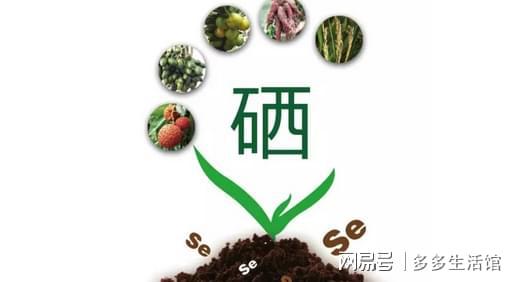 怀孕了要吃补硒的药吗