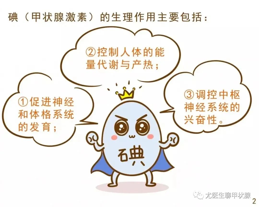 可以从哪些食物里补硒