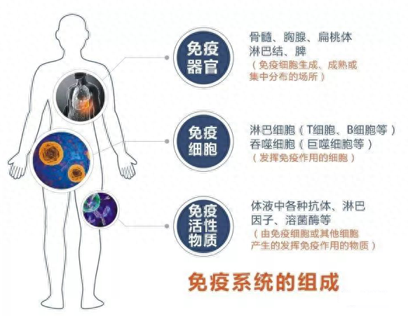 过敏性鼻炎补硒能好吗