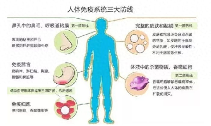 过敏性鼻炎补硒能好吗