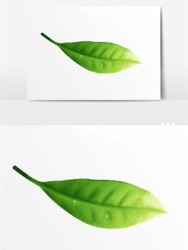 富硒茶的功效与副作用