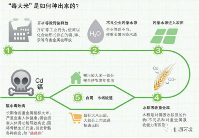 富硒大米特点
