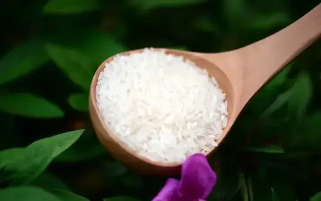 最贵的大米排行榜前十名