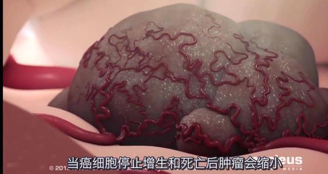 化疗后 补硒