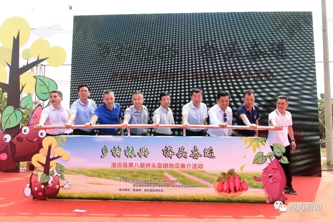 澄迈富硒地瓜
