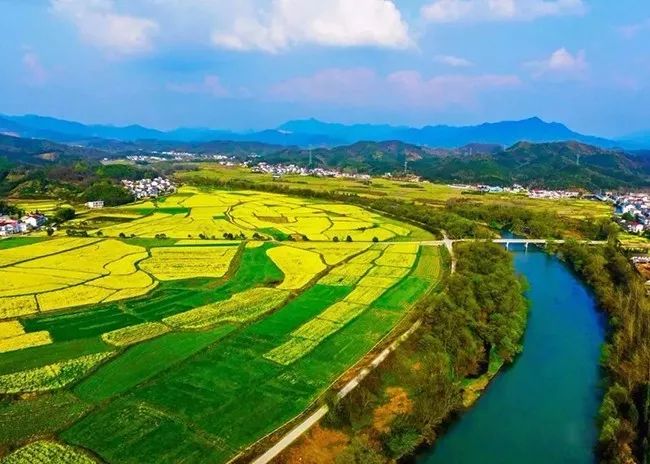 石台富硒大米