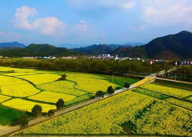 石台富硒大米