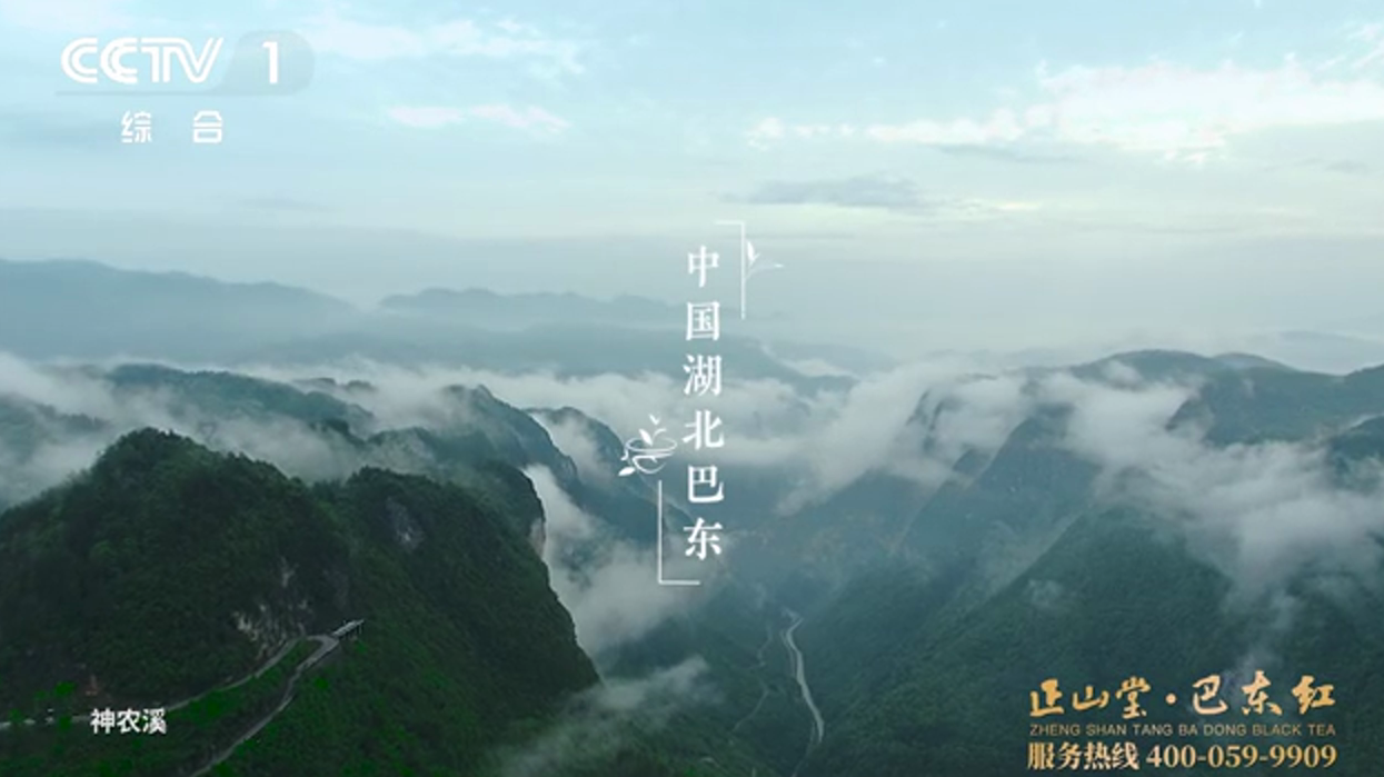 石台富硒野茶