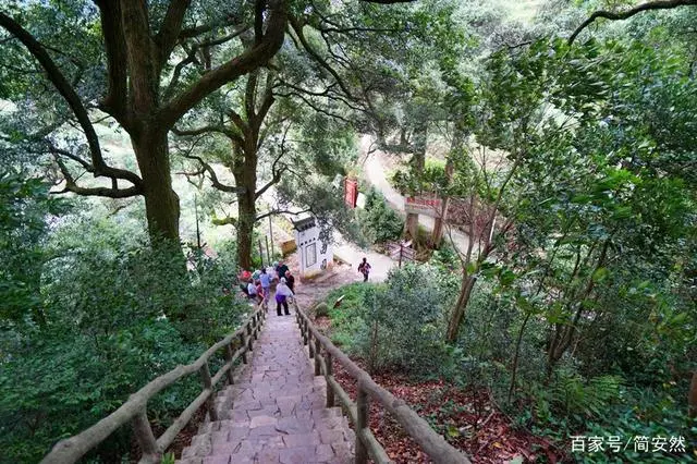 仙寓山富硒茶