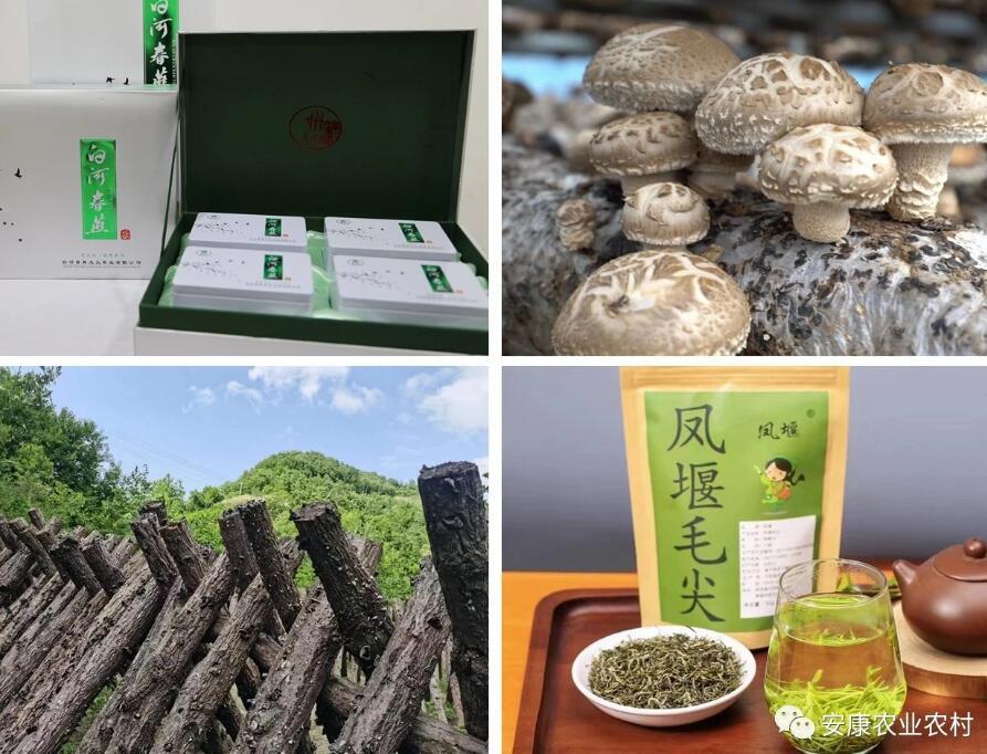 富硒茶广告词