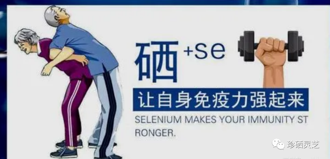 补硒一天多少