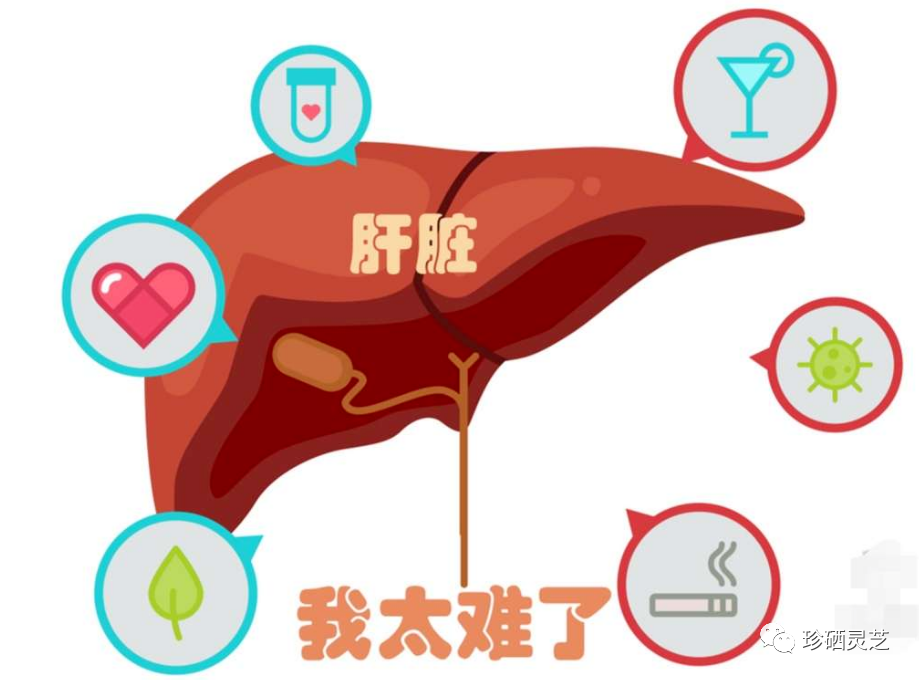 补硒一天多少