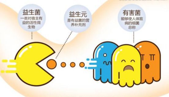 钙铁锌硒同补