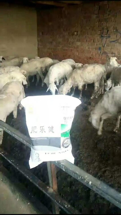 羊缺硒怎么补