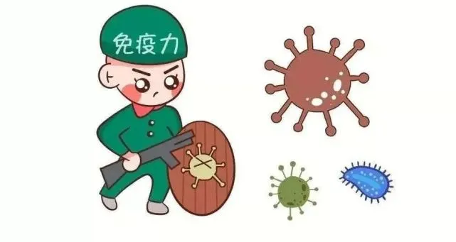补硒 免疫力