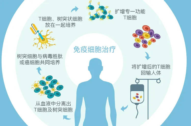 吃橙子补硒吗