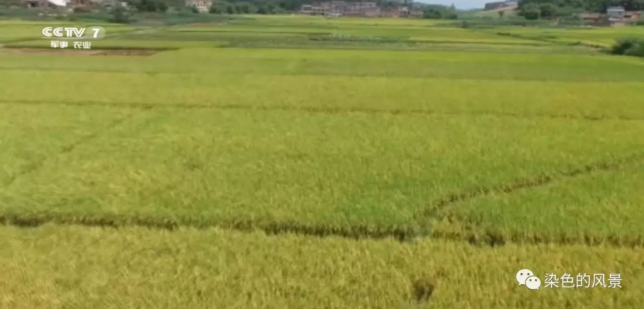 富硒粮仓补硒