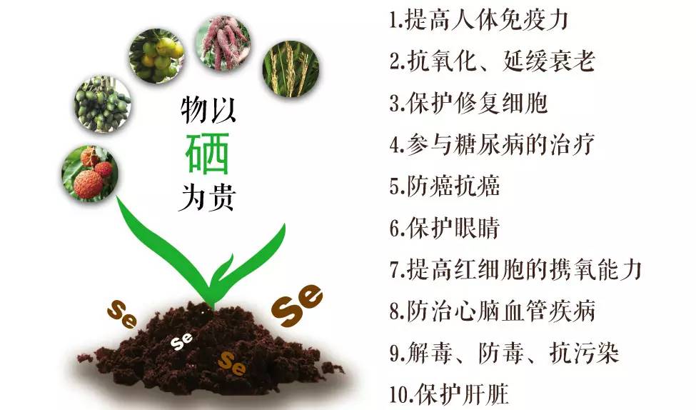 中国补硒专家