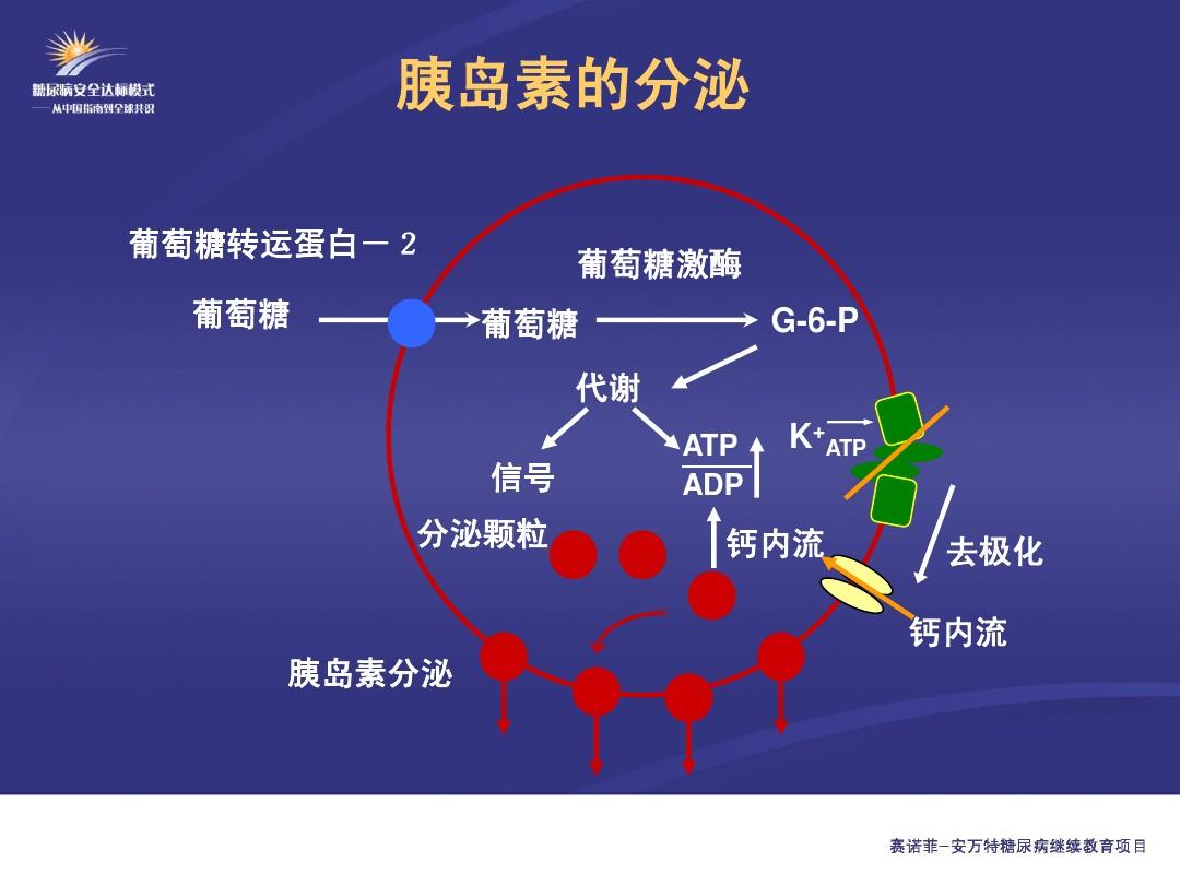 补硒血糖升高
