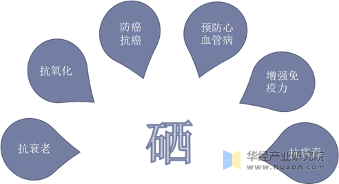 教授补硒名单