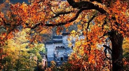 北大科学补硒