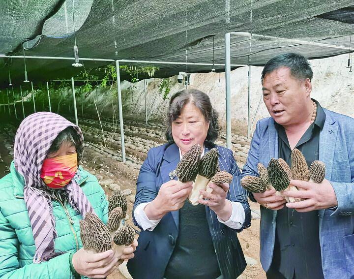 果树如何补硒