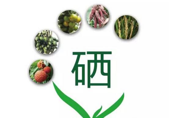 补硒从我做起