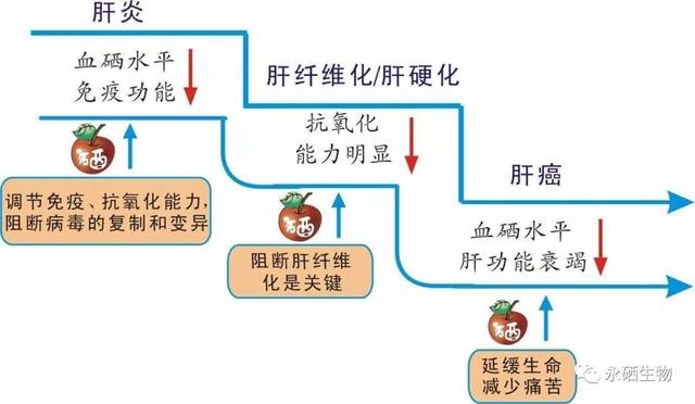 乙肝补硒产品