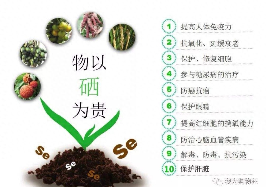 补硒什么才好