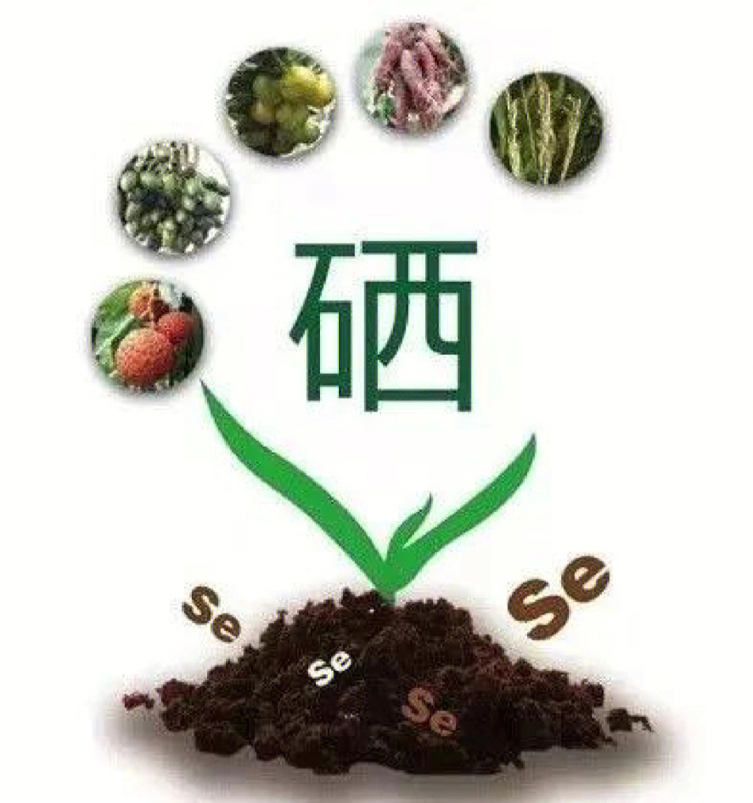 补硒提高视力
