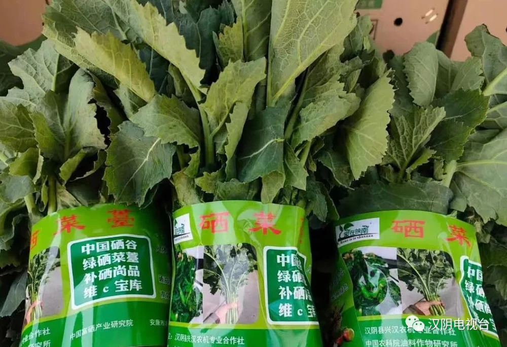 水培蔬菜补硒
